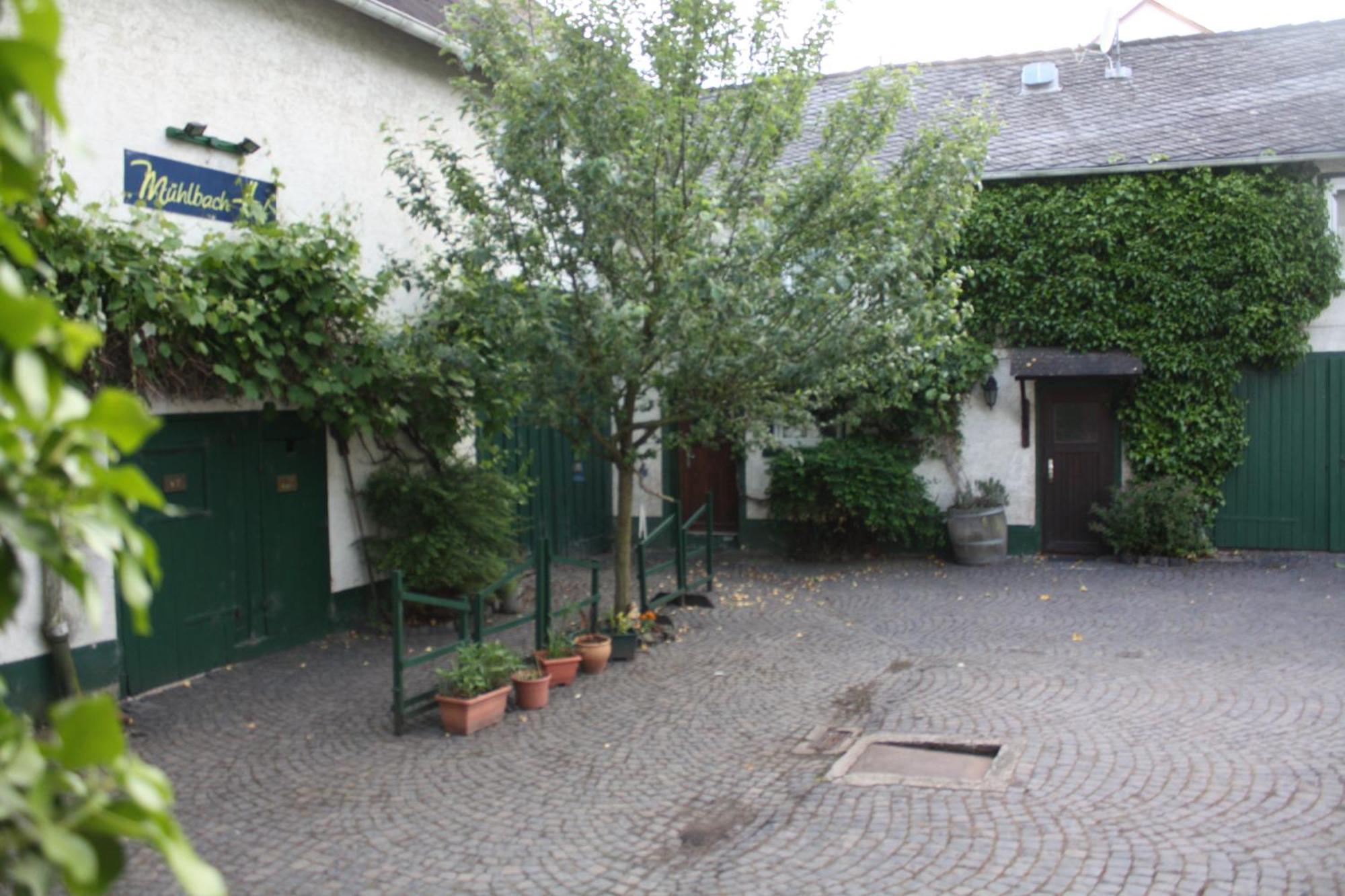 Hostal Mühlbachhof Berg  Exterior foto